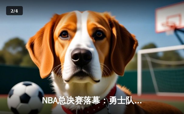 NBA总决赛落幕：勇士队4-2击败凯尔特人 库里荣膺FMVP - 2